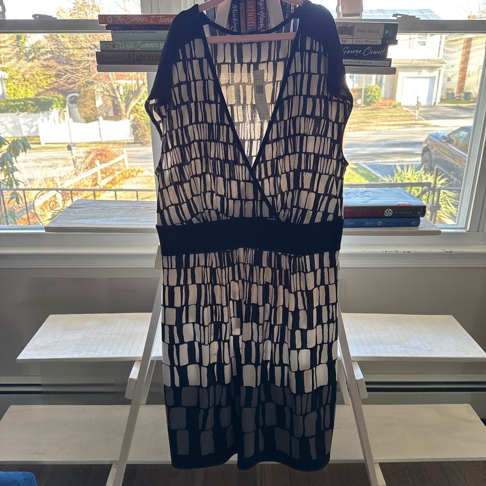 Max and Cleo dress